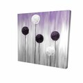 Fondo 16 x 16 in. Purple & White Allium Flowers-Print on Canvas FO2793492